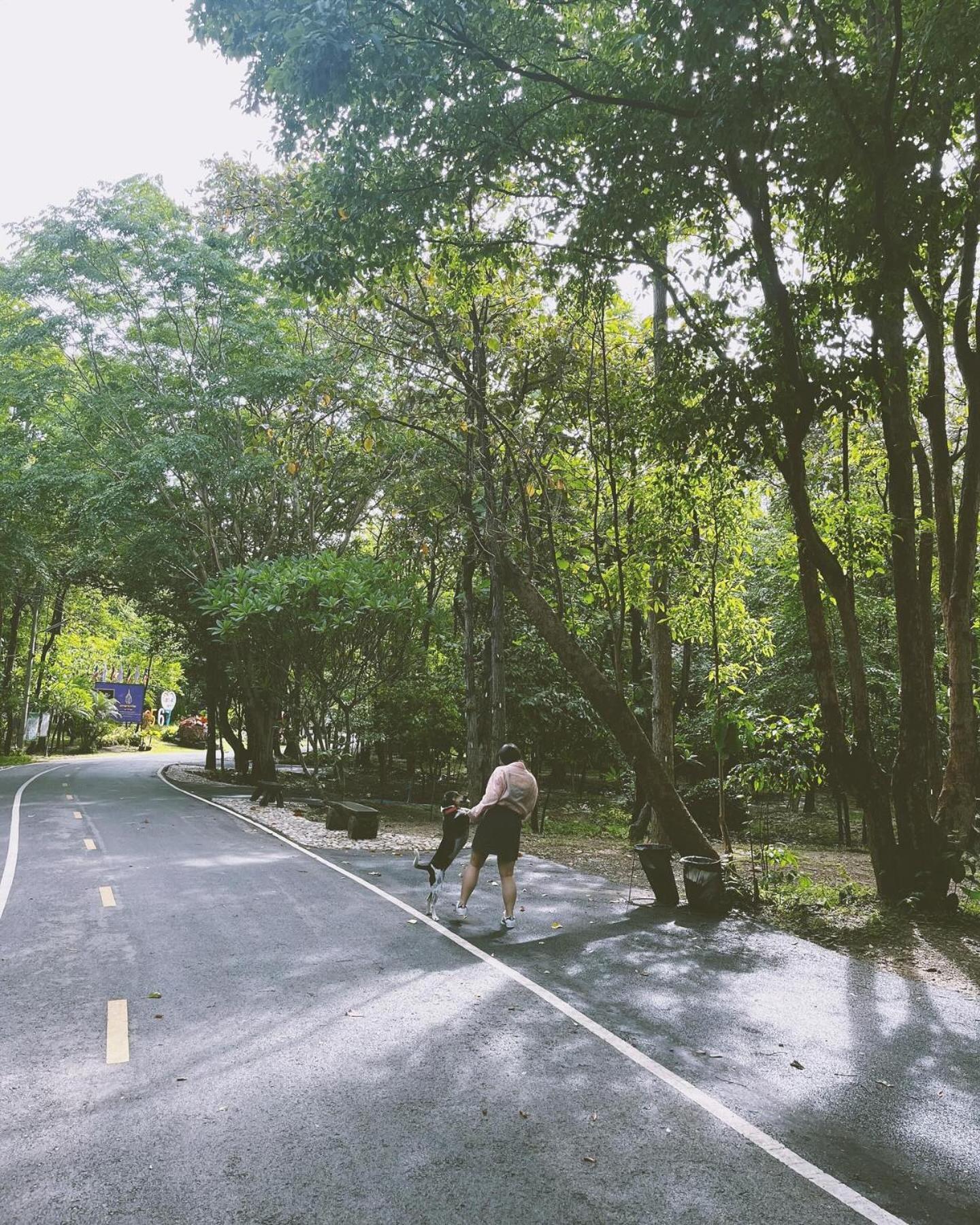 Foresta Villa Hang Dong Dış mekan fotoğraf
