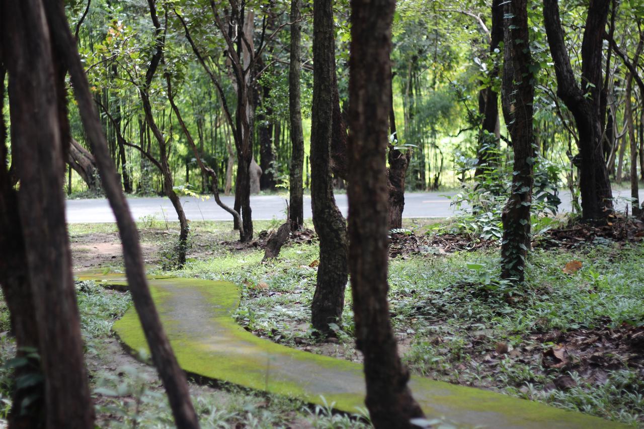 Foresta Villa Hang Dong Dış mekan fotoğraf